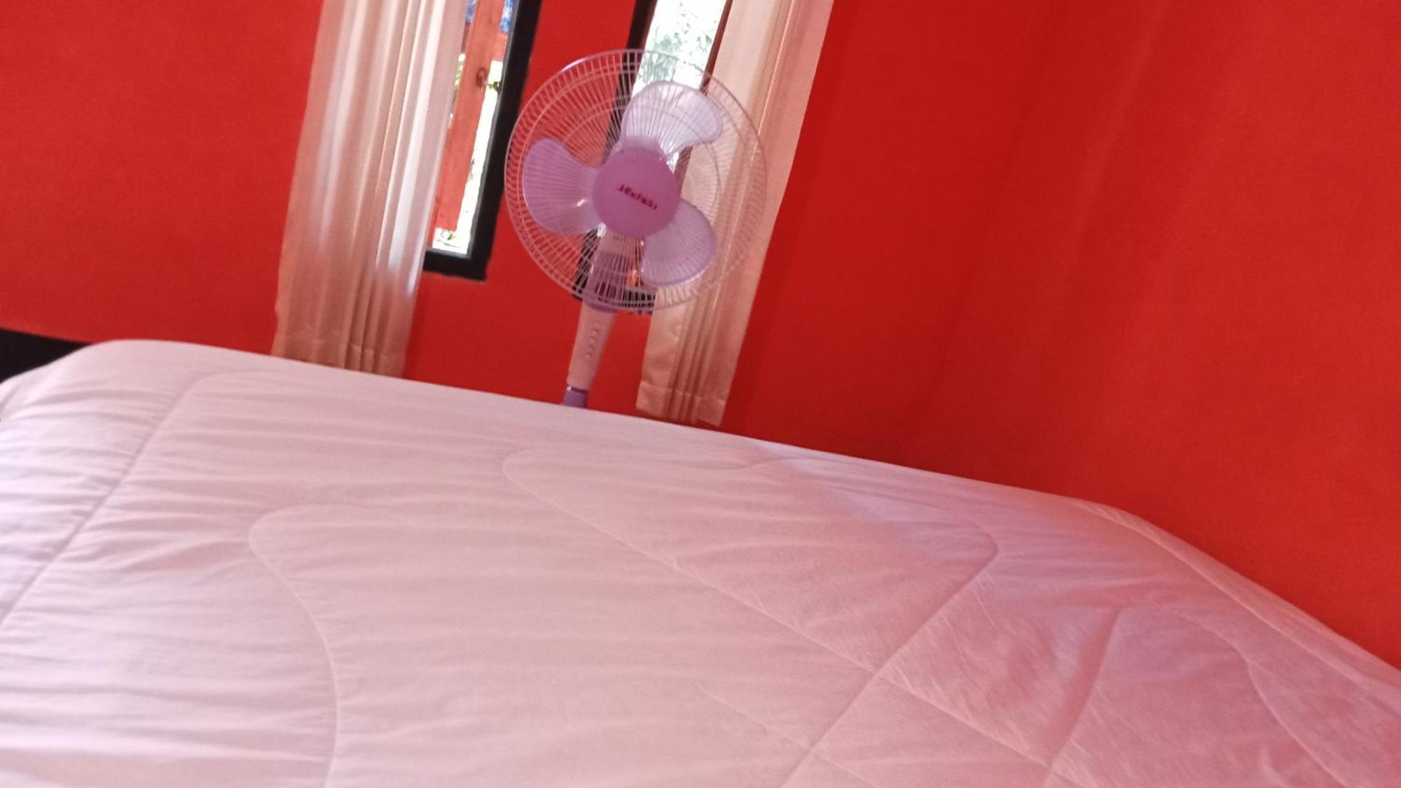 Roy Homestay Kuta Kuta  Esterno foto